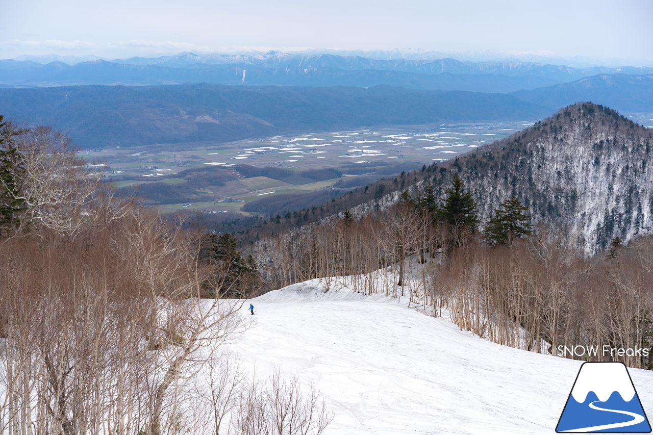 富良野スキー場｜高度感たっぷり、標高900ｍの別世界。大雪山系を望む絶景と春雪を思いっきり楽しみましょう！